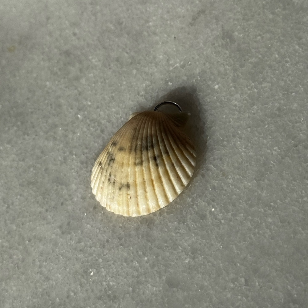 Seashell Pendant Charm